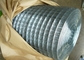 Alambre de acero inoxidable galvanizado fusión eléctrica de los rollos de la malla 19 x19x1.6mm diámetro
