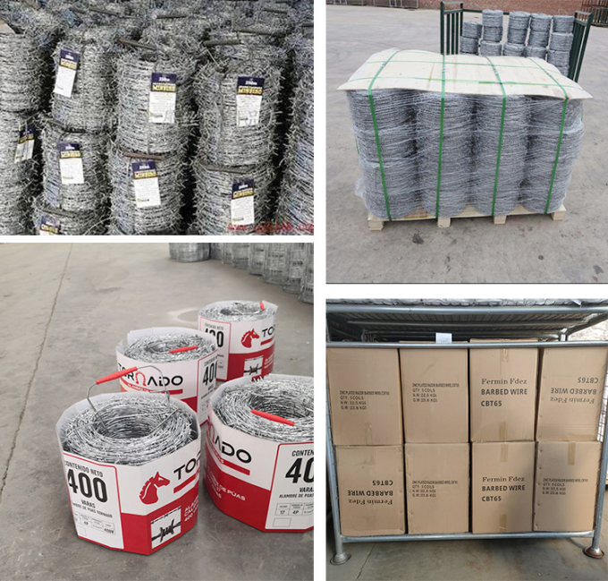 Precio bajo Concertina galvanizado con alambre de púas 3