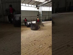 Esfera de raíces anuales negras Cisterna de alambre para árboles o plantas Transporte de raíces