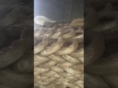 3.0mm Pvc electro galvanizado alambre tipo U corta corbata