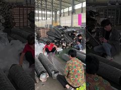 Red de alambre hexagonal decorativa verde de 20 Ga revestida con PVC