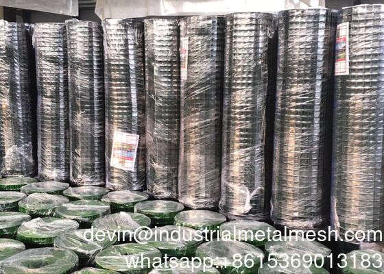Acero inoxidable/mallas de alambre negro soldadas