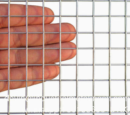 Electro Galvanized 2*2 Welded Wire Mesh Panel 2m*1m for Construction