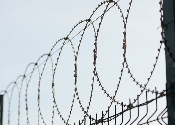 Alambre de púas galvanizado por inmersión en caliente Bto-22 Concertina Razor Wire, diámetro de bobina de 450 mm