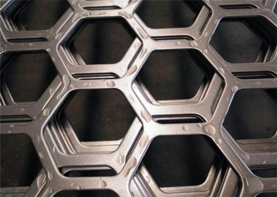 Plata metálica hexagonal perforada de acero inoxidable de calidad dúplex Acuicultura y agua salada
