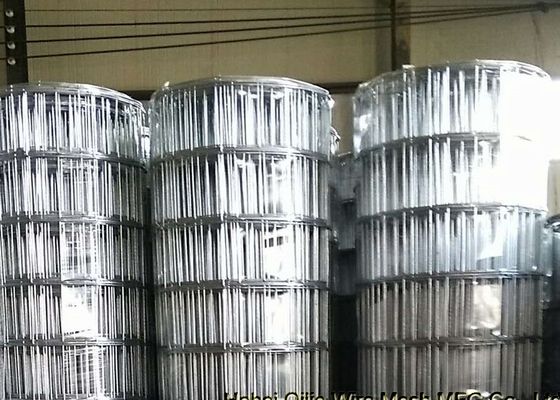 malla de alambre soldada con autógena negro de apertura del diámetro de alambre de 3m m el 15cm para el mercado suramericano