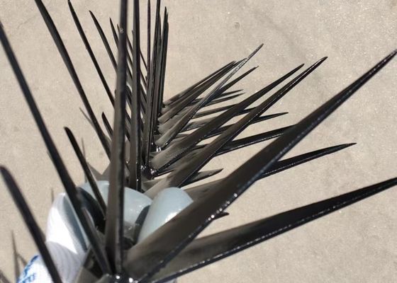 1m de longitud de gran tamaño negro de color anti-ascensión de la pared espino para la seguridad