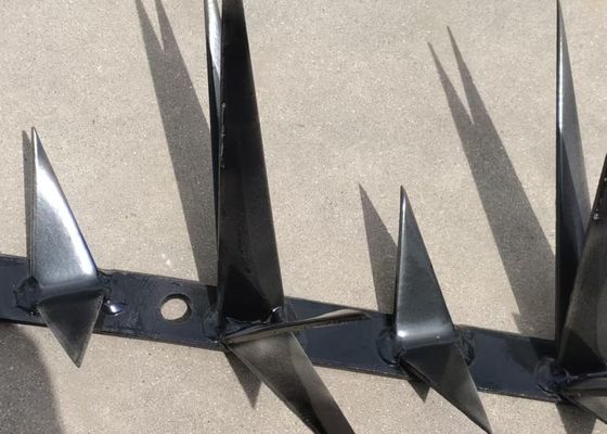 Cercas de seguridad contra la escalada espinas de pared tipo de navaja simple con tratamiento de superficie galvanizado / recubierto de polvo