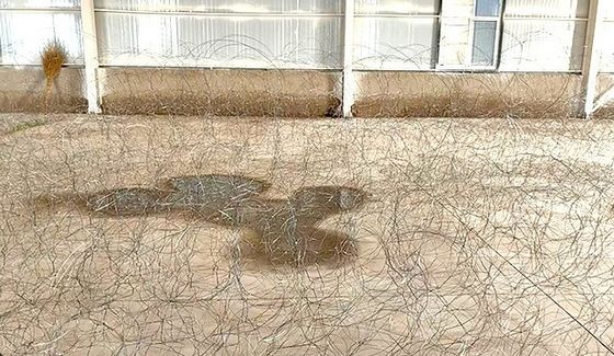 Obstáculos de acero poco visibles Putanka MZP con 10 metros de perímetro