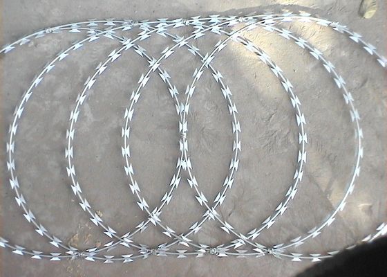 acero inoxidable del alambre acordeón de púas Cbt-60 de 2.5m m