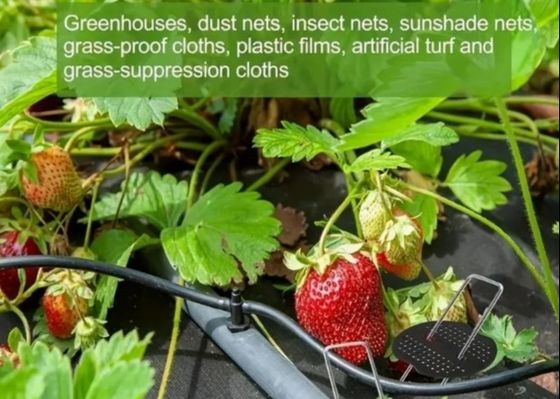 Calor sumergido galvanizado tipo U Césped de jardín Césped de césped de grapa Clavado de clavos 9 diámetro de cable de calibre