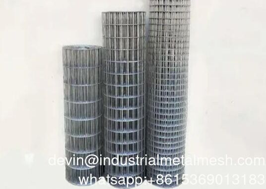 Malla de alambre de hierro tejido cuadrado, malla de alambre de acero galvanizado, malla de alambre soldado para aves