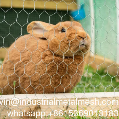 4 pulgadas de apertura de malla de alambre hexagonal utilizado para cercas de jardín
