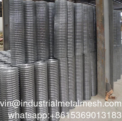 3/4 Inch Galvanized Welded Wire Mesh Fence PVC Coated Welded Rabbit Cage Wire Mesh Prices