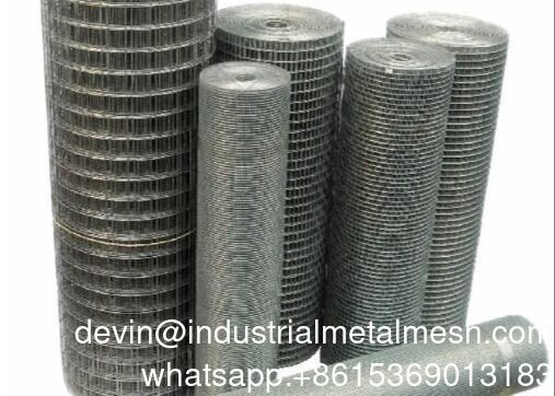 Malla de alambre galvanizado en caliente Rouleau de acero galvanizado en caliente Malla soldada Valla de malla 1/2'' 1/4'' Malla de alambre galvanizado