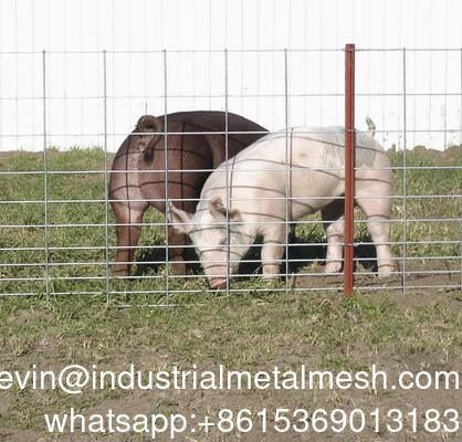 Malla de alambre soldada galvanizada para jardín de 6 mm