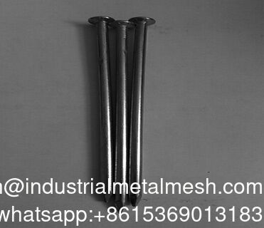 Clavos de alambre común galvanizado tipo de base lisa redonda clavos de cabeza plana
