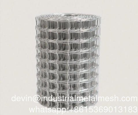 3.0mm/4.0mm Panel de malla de alambre soldado galvanizado en caliente DIP