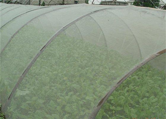 Durabilidad 5 años de uso Repelente de insectos Red 20x10 Red anti áfidos Invernadero de cultivo