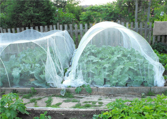 Horticultura Hdpe Mosca de pantalla de malla Agricultura Crecimiento de insectos A prueba de red 40 malla