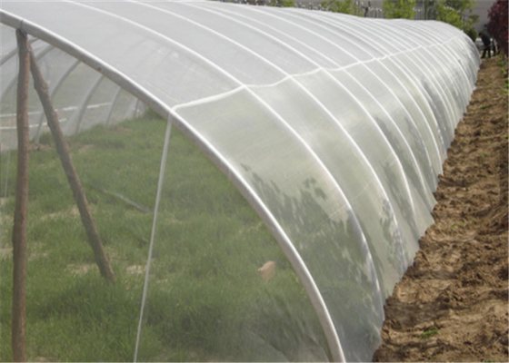 2x30m Resistente a los rayos UV Anti-Insecto Mosca de la pantalla de malla de crecimiento de vegetales de red blanca