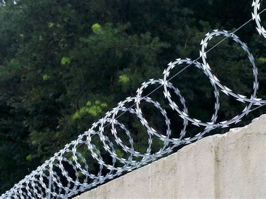 El Pvc galvanizado cubrió el alambre acordeón Cbt-60 de acero inoxidable Cbt-65 de la cinta de púas
