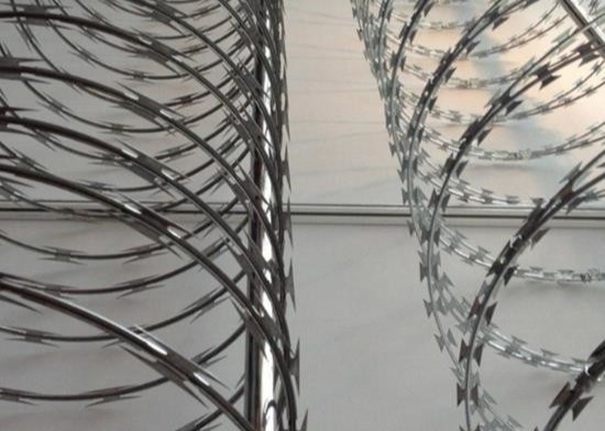 Alambre acordeón de acero inoxidable de la maquinilla de afeitar de la subida de la seguridad de la prisión de púas anti de la cuchilla