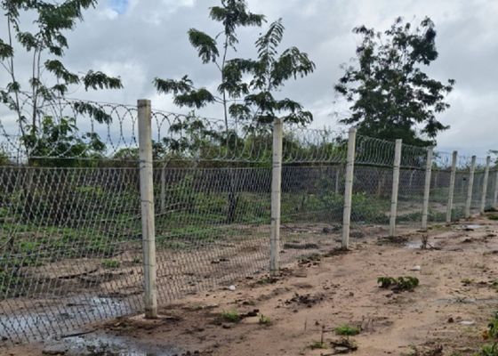 Alambre de púas acordeón galvanizado sumergido caliente 960m m BTO-12 de la maquinilla de afeitar