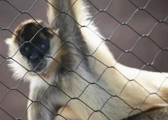 Malla de cable de acero inoxidable Ss 304 Ss 316 Malla de cable de acero inoxidable con férula en venta