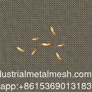AISI 304 316 316L Pantalla de malla de alambre tejido de acero inoxidable contra termitas