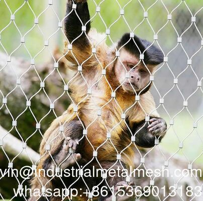 Malla de Cuerda de Alambre Tejido Diamante para Cercado de Zoológico